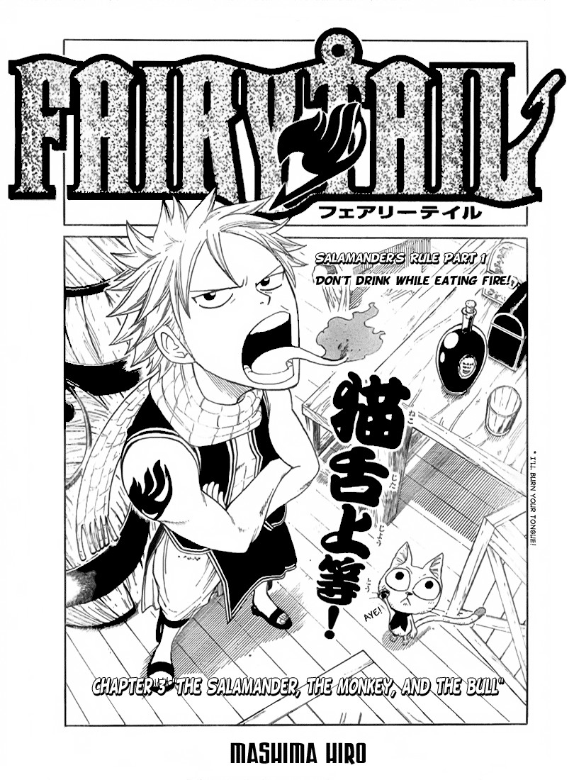 Fairy Tail Chapter 3 3